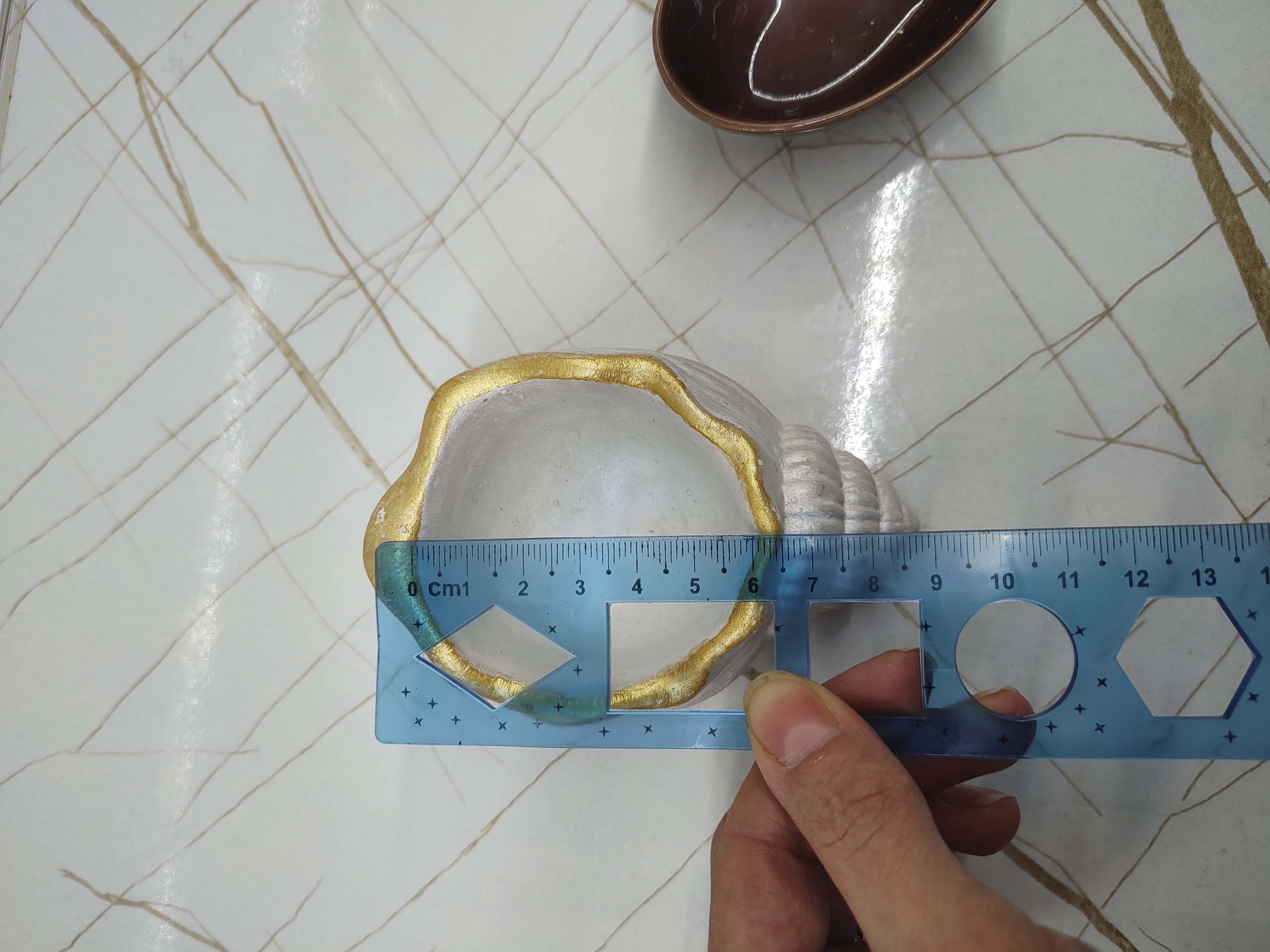 بیس خام صدف گوش ماهی